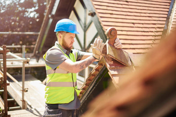 Best Storm Damage Roof Repair  in Monee, IL
